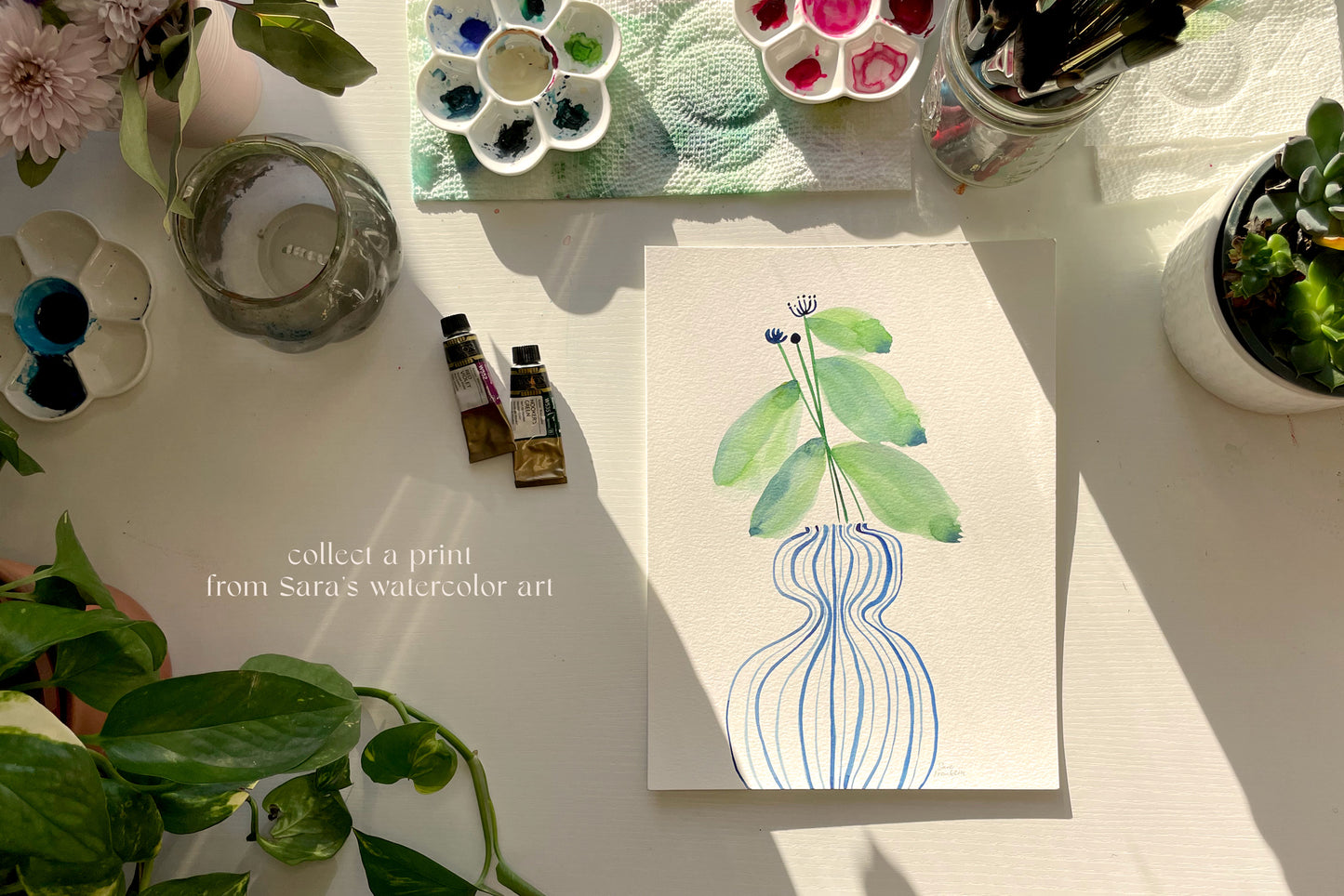 a picture of a plant on a table