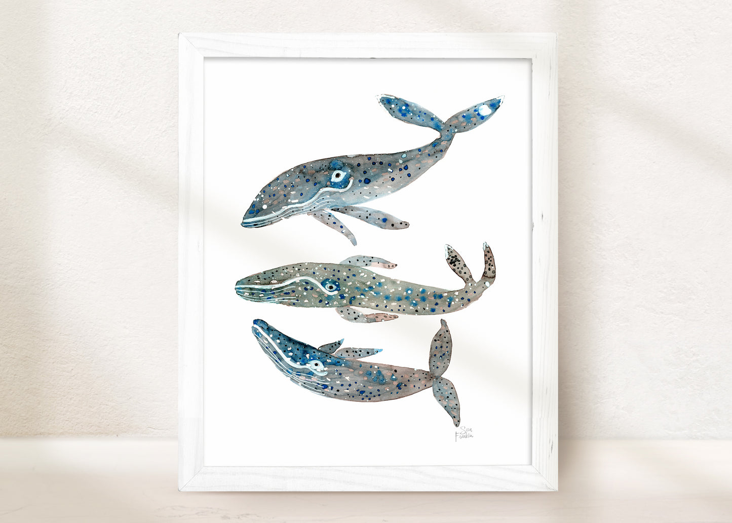Coastal Whales Fine Art Print