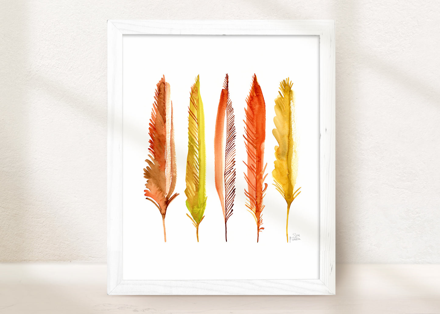 Feathers of Bohemia | Fine Art Print