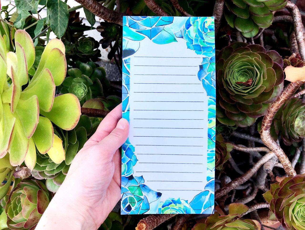Succulents Magnetic Notepad by Sara Franklin