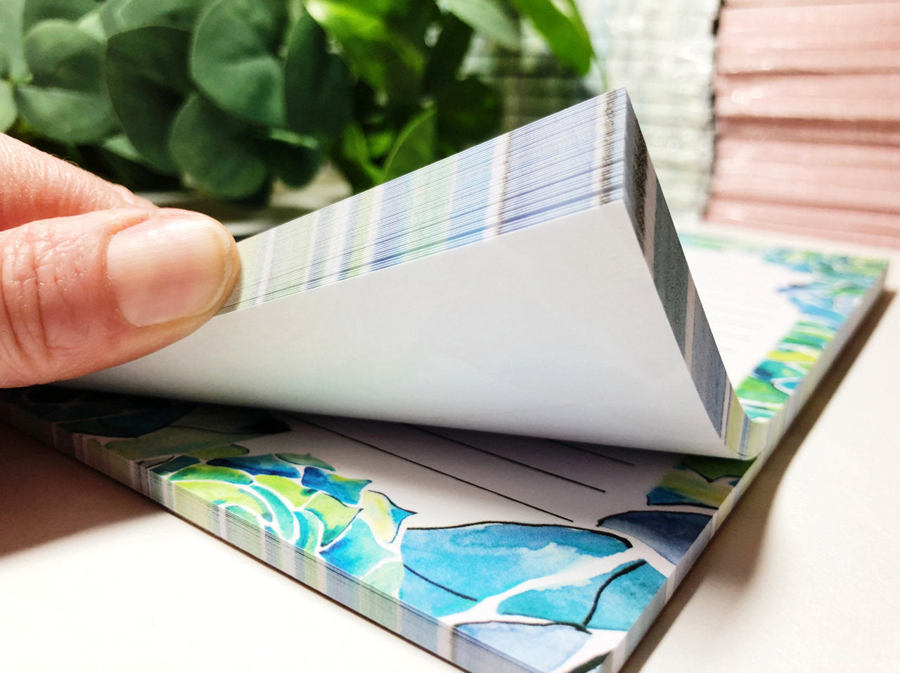 Succulents Magnetic Notepad by Sara Franklin