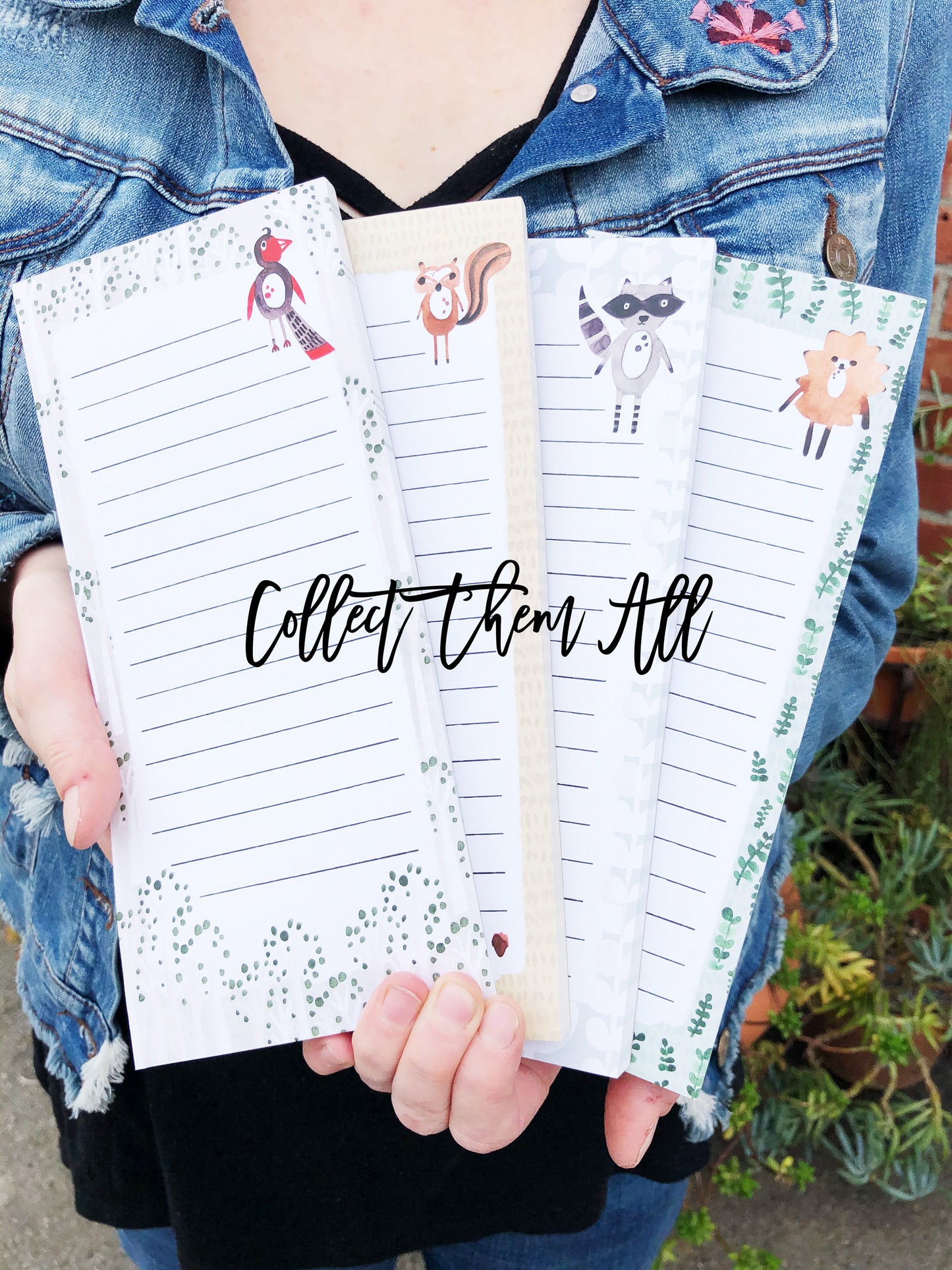 Raccoon Magnetic Notepad by Sara Franklin