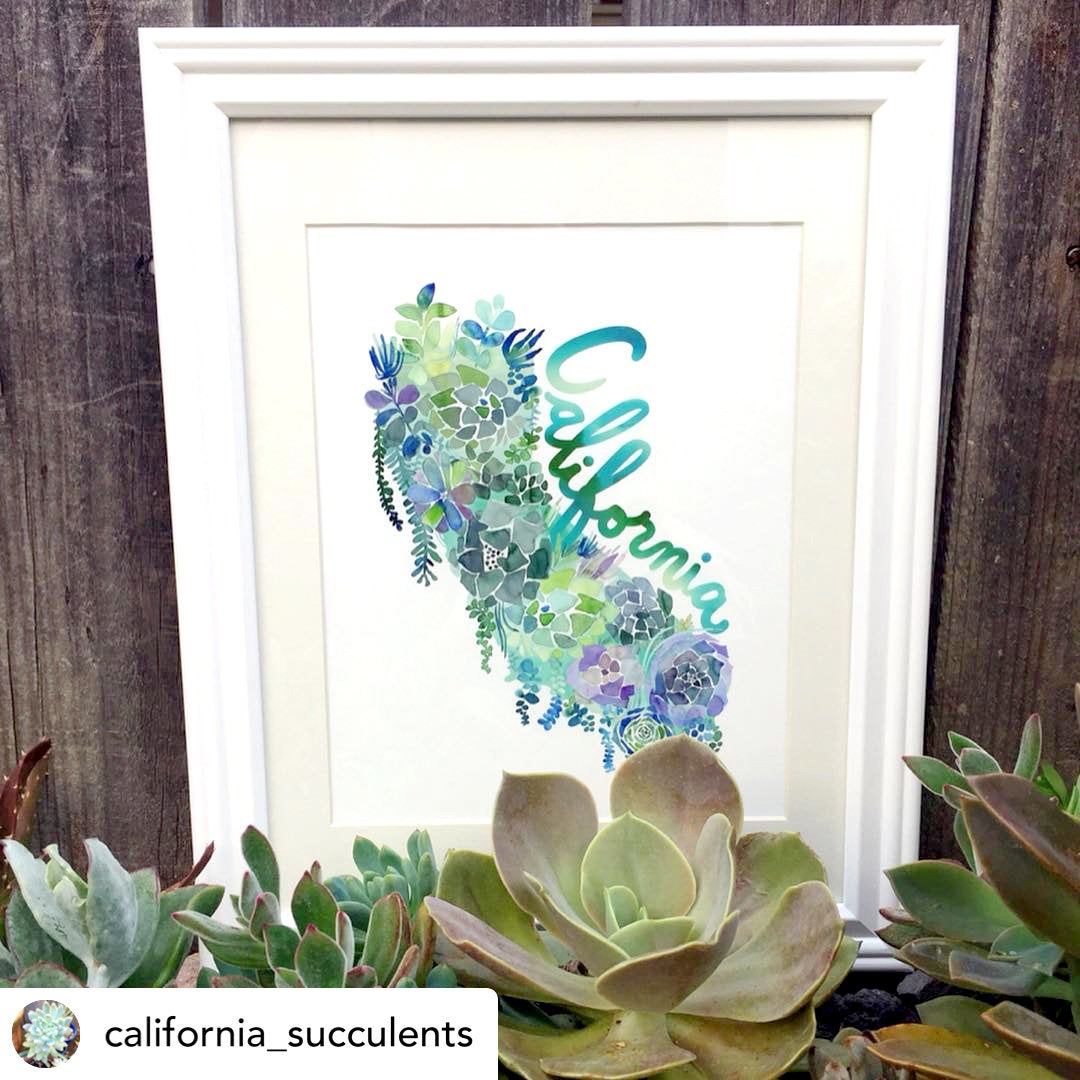 California Succulents Map Fine Art Print